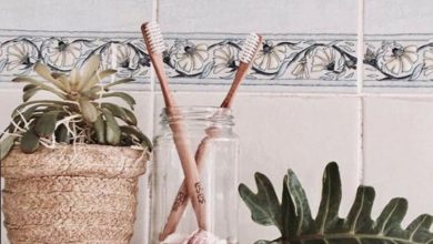 sasa collective eco toothbrush zero waste
