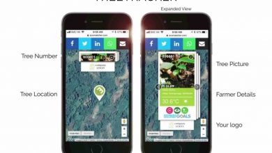 tree planting platform ecomatcher SDG