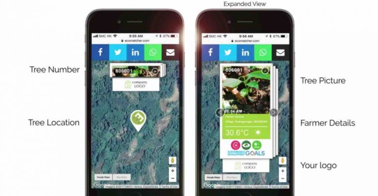 tree planting platform ecomatcher SDG