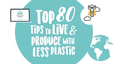 ebook guide go plastic free july