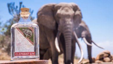 Elephant Gin handcrafted Dry Gin positive luxury Africa foundations