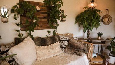 Greening Your Space: Buying Houseplants Online Made Easy