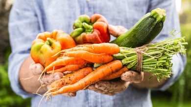 small farm producers sustainable methods organic vegetables infographic