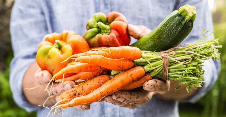 small farm producers sustainable methods organic vegetables infographic