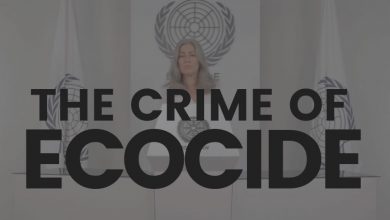 ecocide law polly higgins lawyer criminalise ecological damage earth protectors