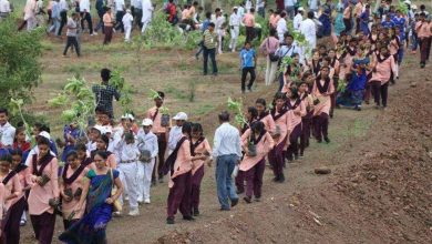 madhya pradesh india plants 66 million trees record breaking environmental campaign