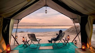 best eco-lodge africa safari Zambezi Expeditions Zambia