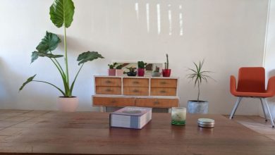 guide tops green travelers stay eco-friendly airbnb