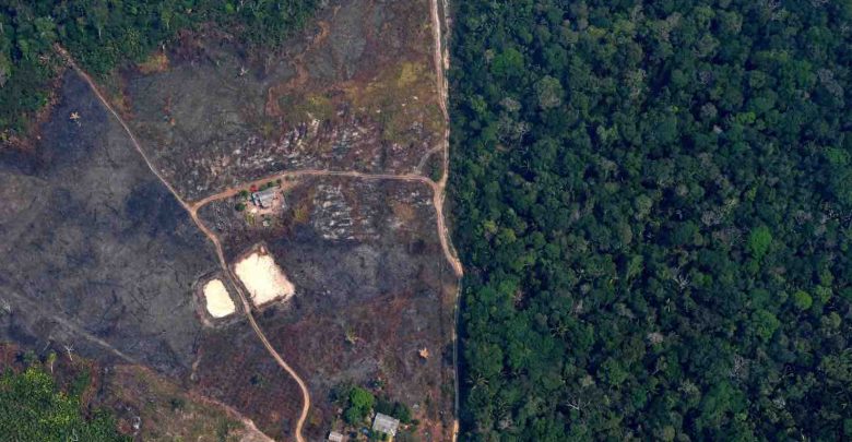 deforestation brazilian amazon rainforest fires