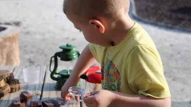 The Attenborough Effect: 3 ways to get children into STEM subjects