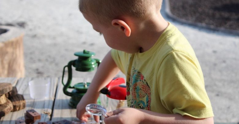 The Attenborough Effect: 3 ways to get children into STEM subjects