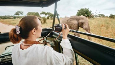 responsible ecotourism eco safari africa explorer