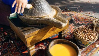Pure argan oil benefits: a guide with uses, myths and facts