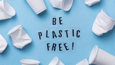 Living without plastic – is it possible? Tips to reduce waste at home!