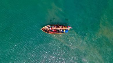 ecotourism organize sustainable international trip