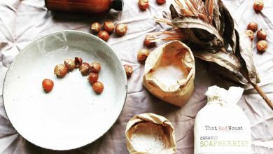 Toxin-free laundry with zero-waste detergents soapberries