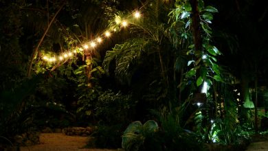 eco friendly hostels sustainable traveler