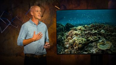 fishing villages spark marine conservation revolution