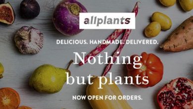 healthy deliver plant based vegan meals