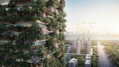 5 Key features of sustainable cities