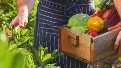 Amazing Advantages of Hyperlocal Food Movement