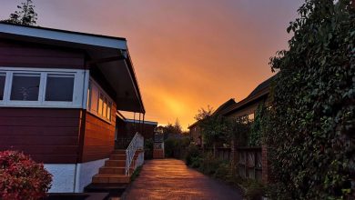 5 Ways to use solar energy for home in your everyday life