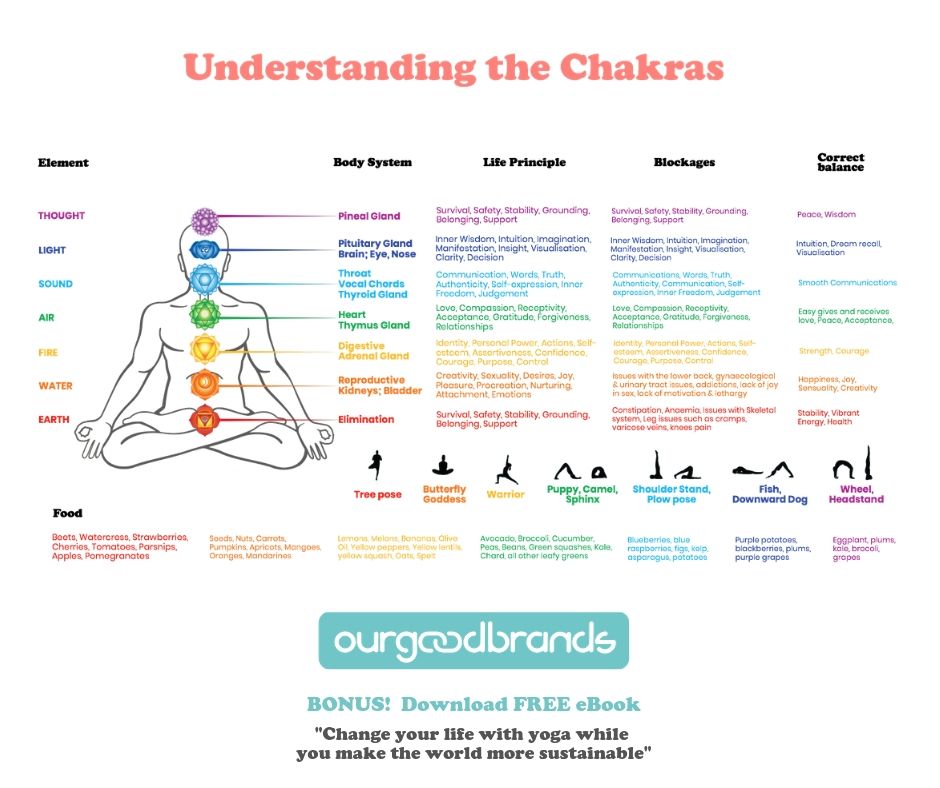 understand seven chakras meaning nadis
