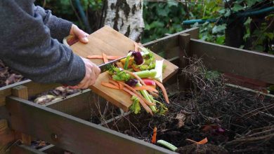 How to start composting for beginners