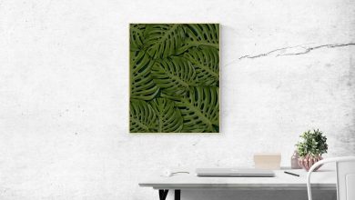 Creating an eco-friendly office space