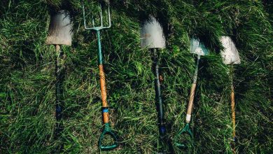 Simple ideas to create an eco-friendly home & garden