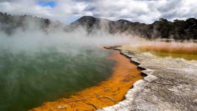 6 Amazing ecotourism experiences in New Zealand & Australia