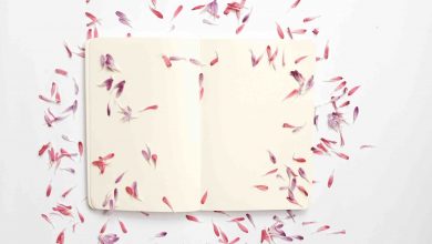 Top 10 sustainable ideas to start a paper-related business