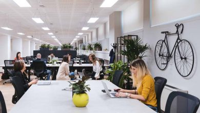 10 Ways Sustainable Brands Can Develop Their CSR Strategy