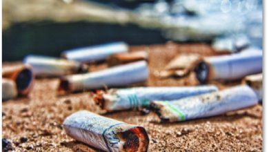 Cigarette butt pollution: an environmental and health crisis