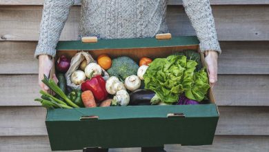 How food companies can ship food sustainably