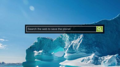 Search Scene: A charitable search engine that donates 95% of its profits