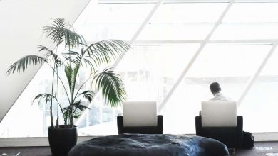 5 Steps every business should take to become sustainable & eco-friendly