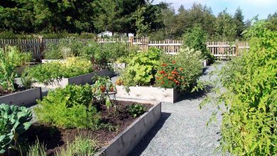 Community garden plots for the nomadic culture