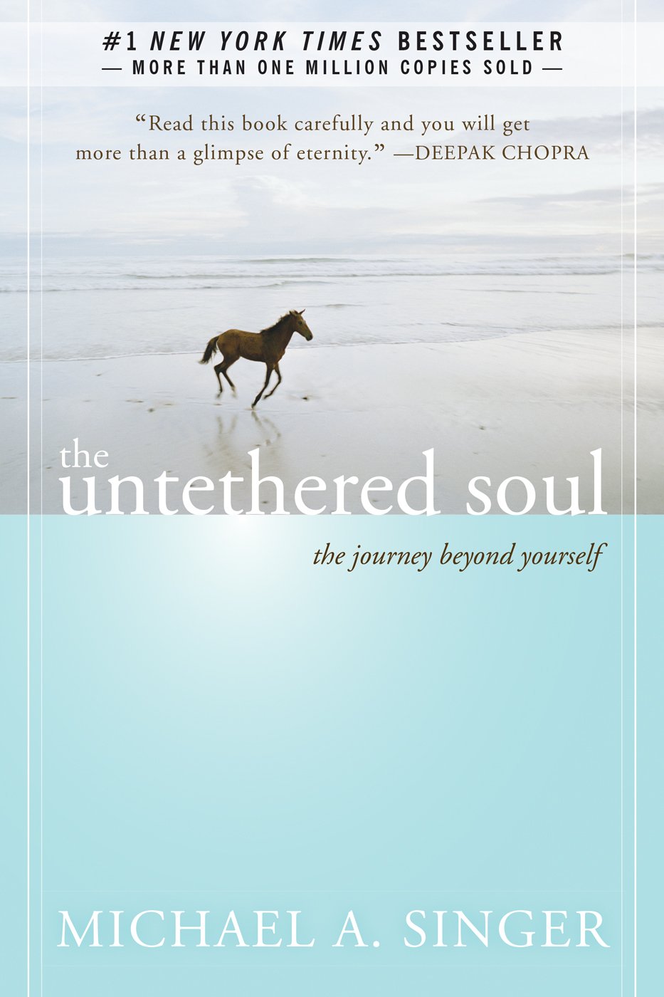 book sustainability The Untethered Soul by Michael A. Singer