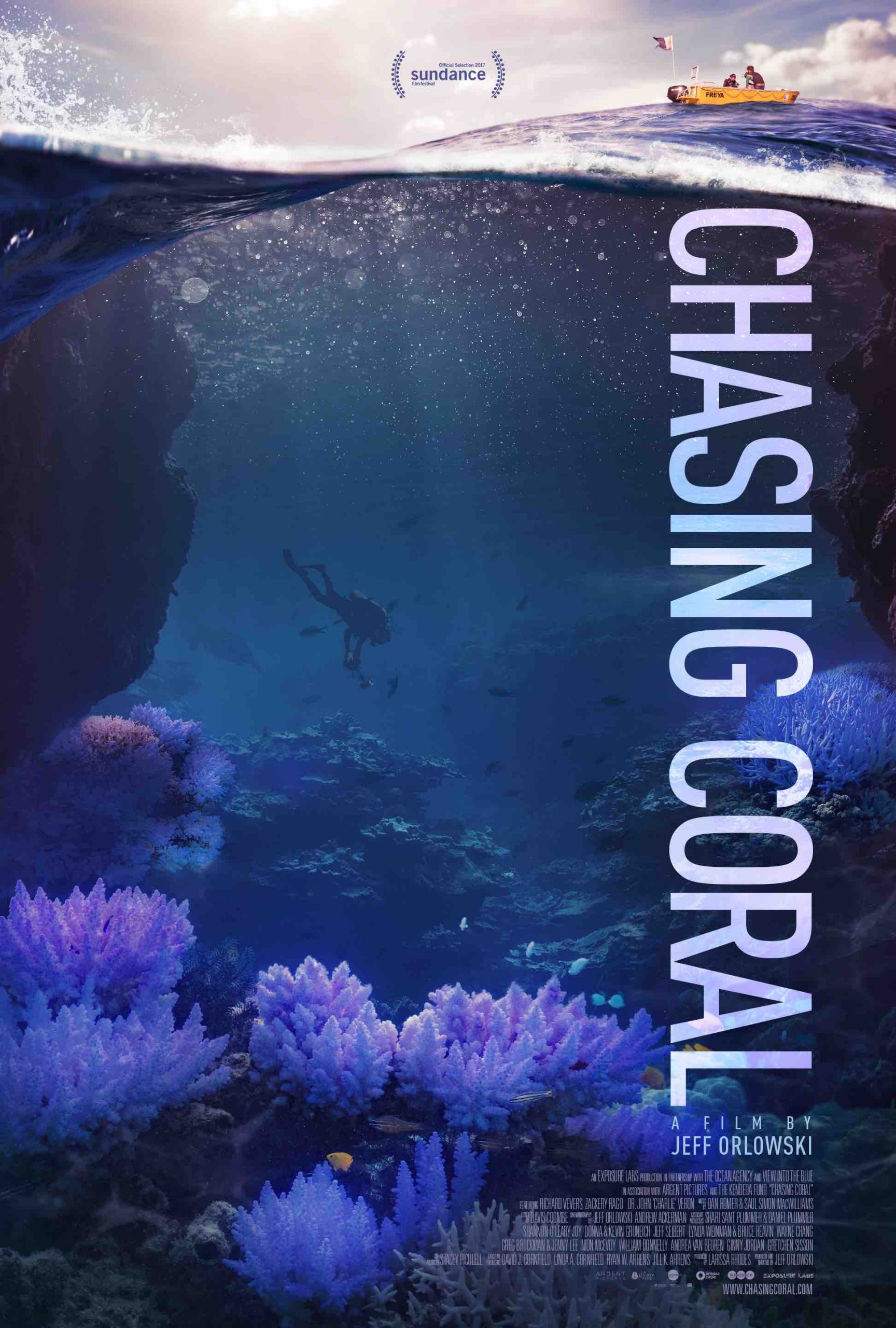 sustainability documentaries Chasing Coral by Jeff Orlowski