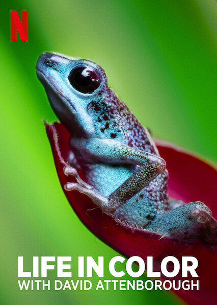sustainability documentaries Life in Color with David Attenborough