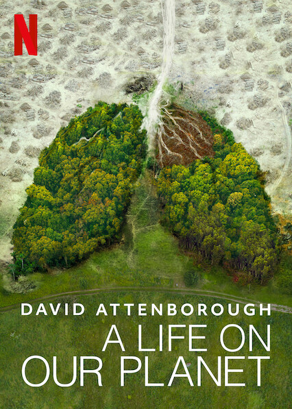 sustainability documentaries A Life On Our Planet with David Attenborough