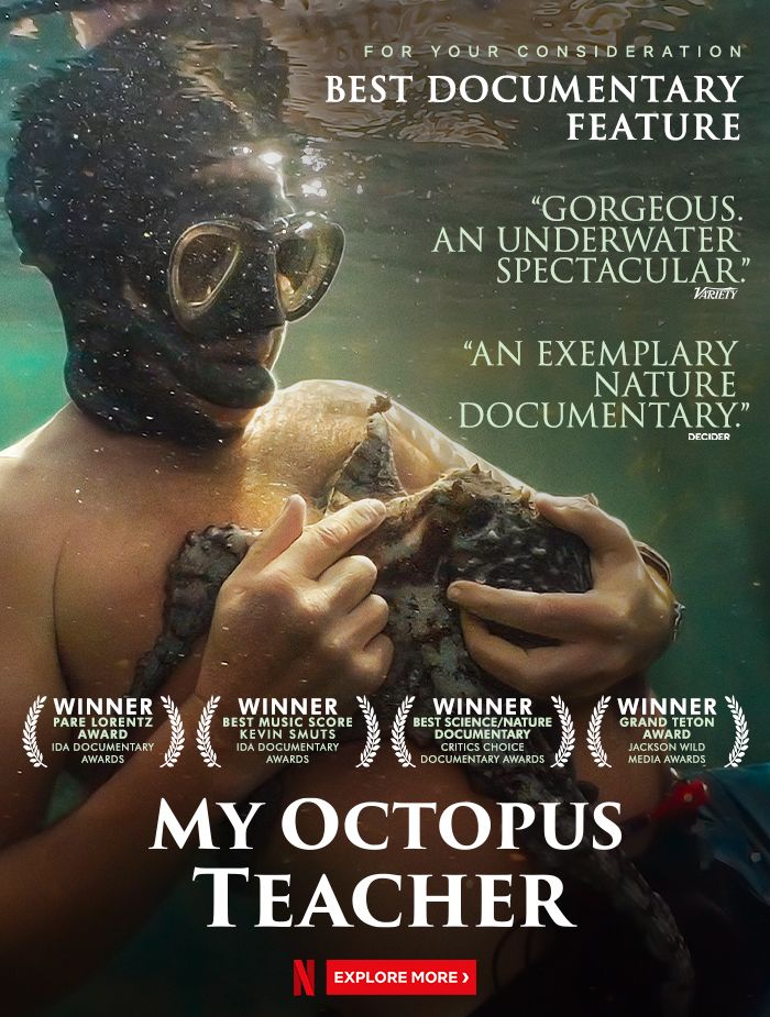 sustainability documentaries My Octopus Teacher by Pippa Ehrlich & James Reed