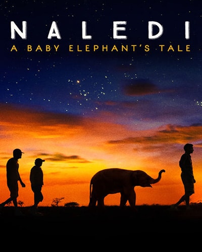 sustainability documentaries Naledi a Baby Elephant's Tale by Geoffrey Luck & Ben Bowie