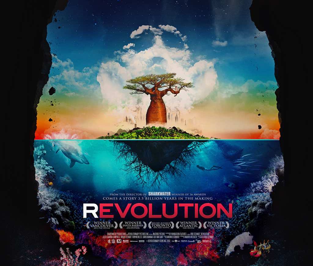 sustainability documentaries Revolution by Rob Stewart