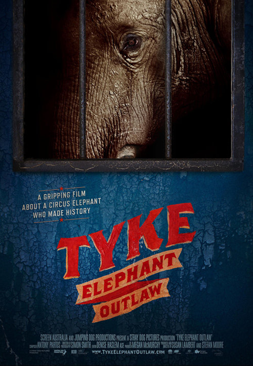 sustainability documentaries Tyke Elephant Outlaw by Susan Lambert