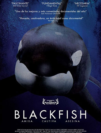 sustainability documentaries Blackfish by Gabriela Cowperthwaite