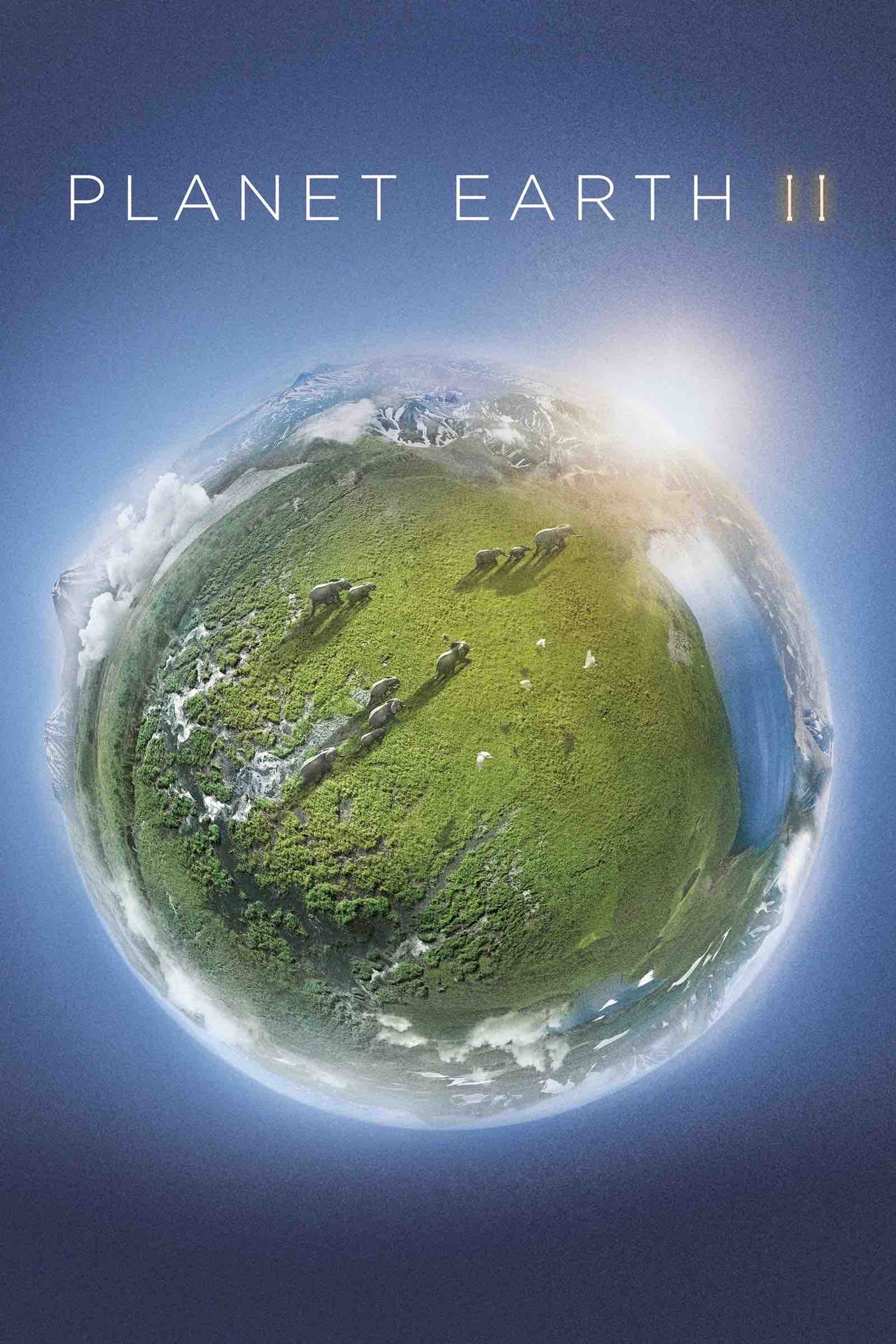 sustainability documentaries Planet Earth II with David Attenborough