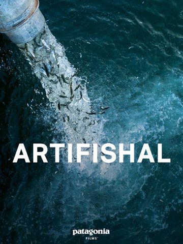 Documentaries sustainability Artifishal by Josh Murphy