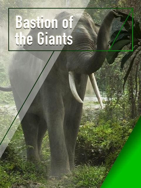 Documentaries sustainability Bastion of the Giants by Sumesh Lekhi